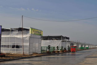 農村這四類建筑會被清理，涉及范圍廣，快看是否影響你家